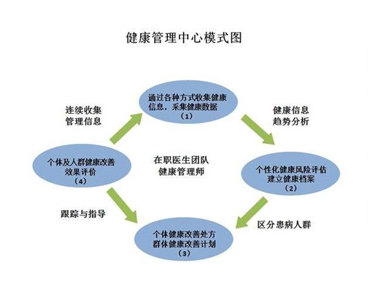 健康管理師 守護健康的專業規劃師，從信息咨詢到全面干預